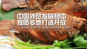 中国外贸发展稳中提质多地打造开放新高地:欧博(图4) 欧博ABG官网