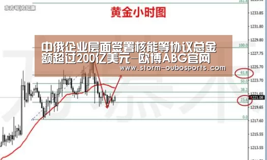 中俄企业层面签署核能等协议总金额超过200亿美元-欧博ABG官网(图1) 欧博官网