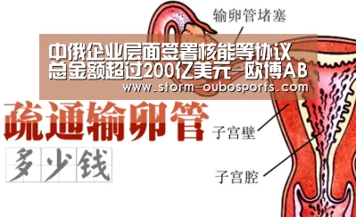 中俄企业层面签署核能等协议总金额超过200亿美元-欧博ABG官网(图4) 欧博官网