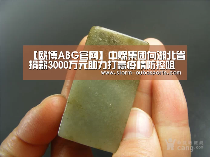 【欧博ABG官网】中煤集团向湖北省捐款3000万元助力打赢疫情防控阻击战(图3) 欧博游戏