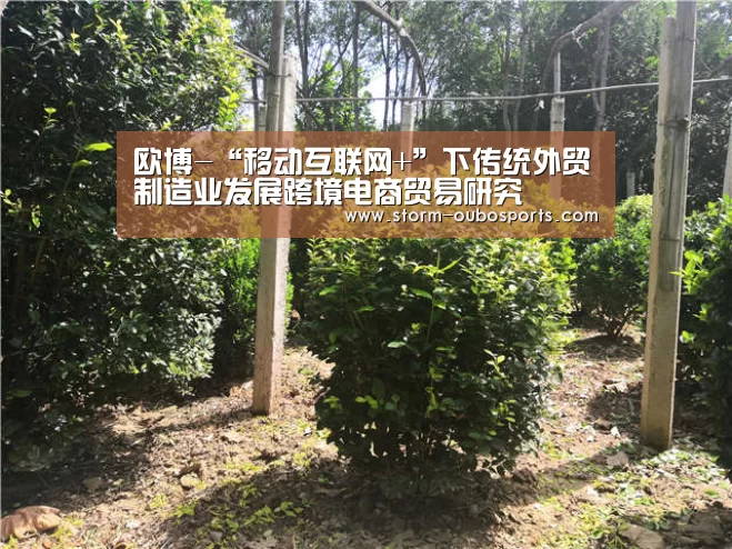 欧博-“移动互联网+”下传统外贸制造业发展跨境电商贸易研究(图2) 欧博